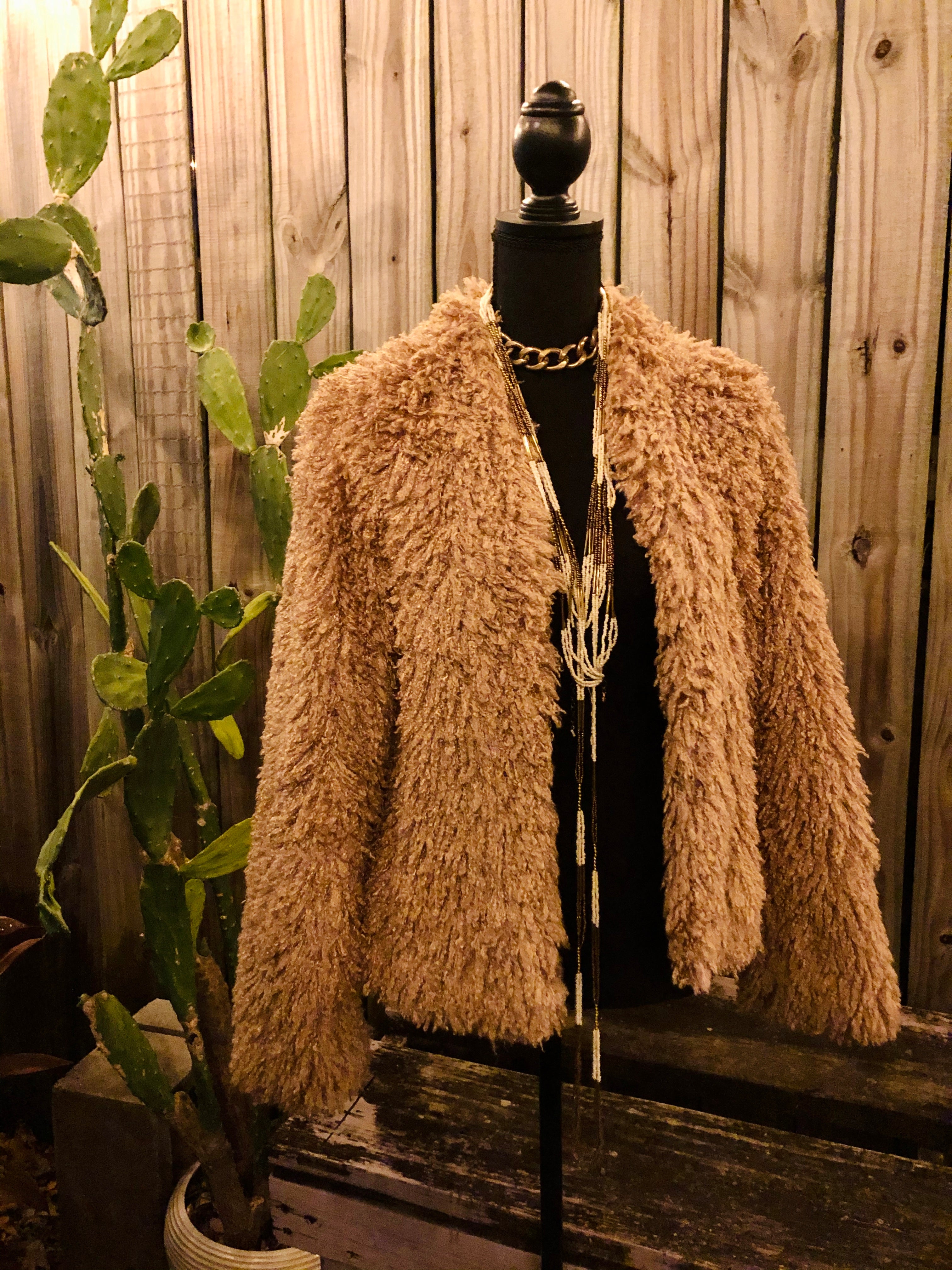 Poodle Jacket – Where Fashion Meets Art